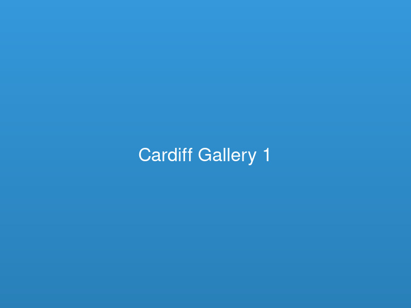 Professional escort services services in Cardiff - Image 1
