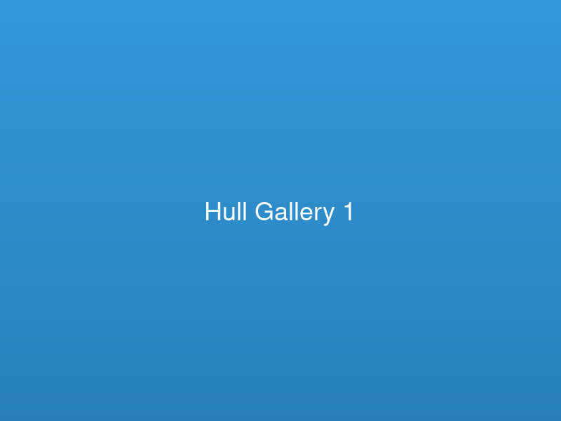 Professional escort services services in Hull - Image 1